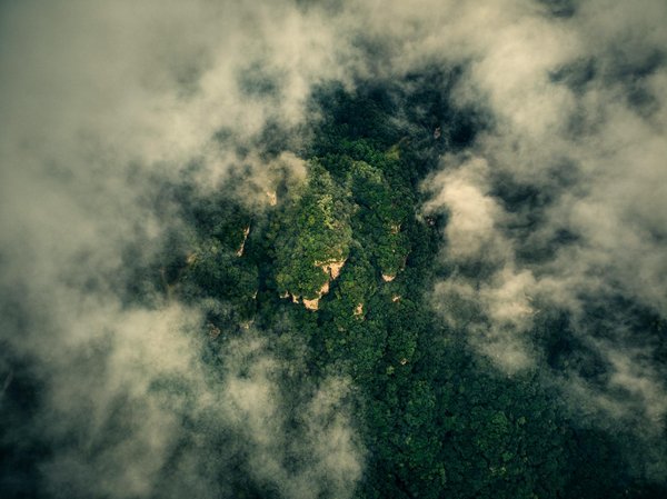 La révélation du pirate légendaire dans one piece !