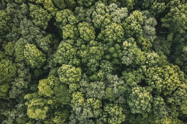 Impact du Brexit sur la citoyenneté britannique : décryptons les évolutions majeures